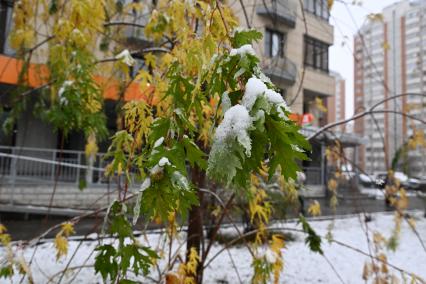 Первый снег в Москве