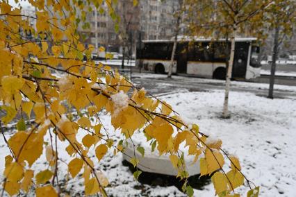 Первый снег в Москве