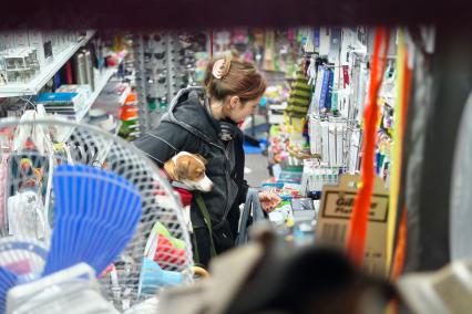 Повседневная жизнь в Петербурге