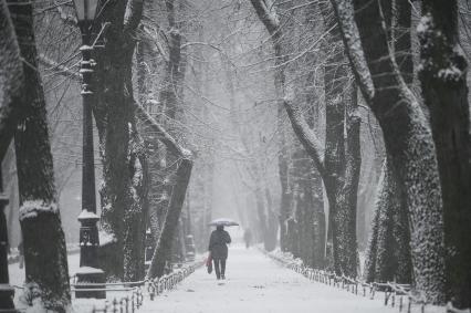 Снегопад в Санкт-Петербурге