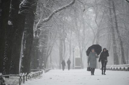 Снегопад в Санкт-Петербурге