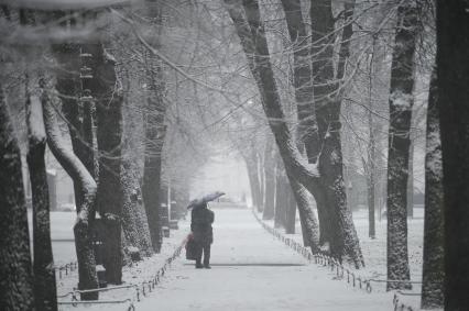 Снегопад в Санкт-Петербурге