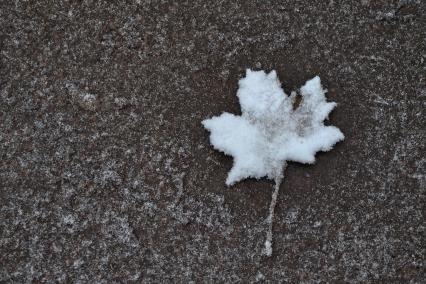 Снегопад в Санкт-Петербурге