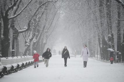 Снегопад в Санкт-Петербурге