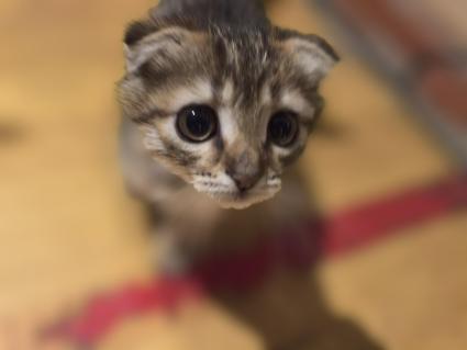 Как живут в Селидово после освобождения от ВСУ