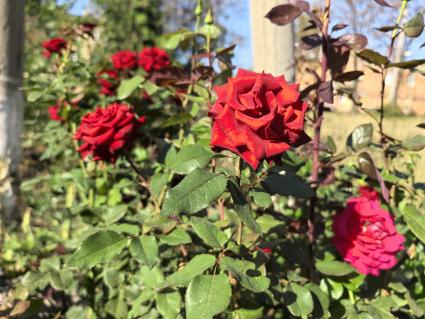 Как живут в Селидово после освобождения от ВСУ