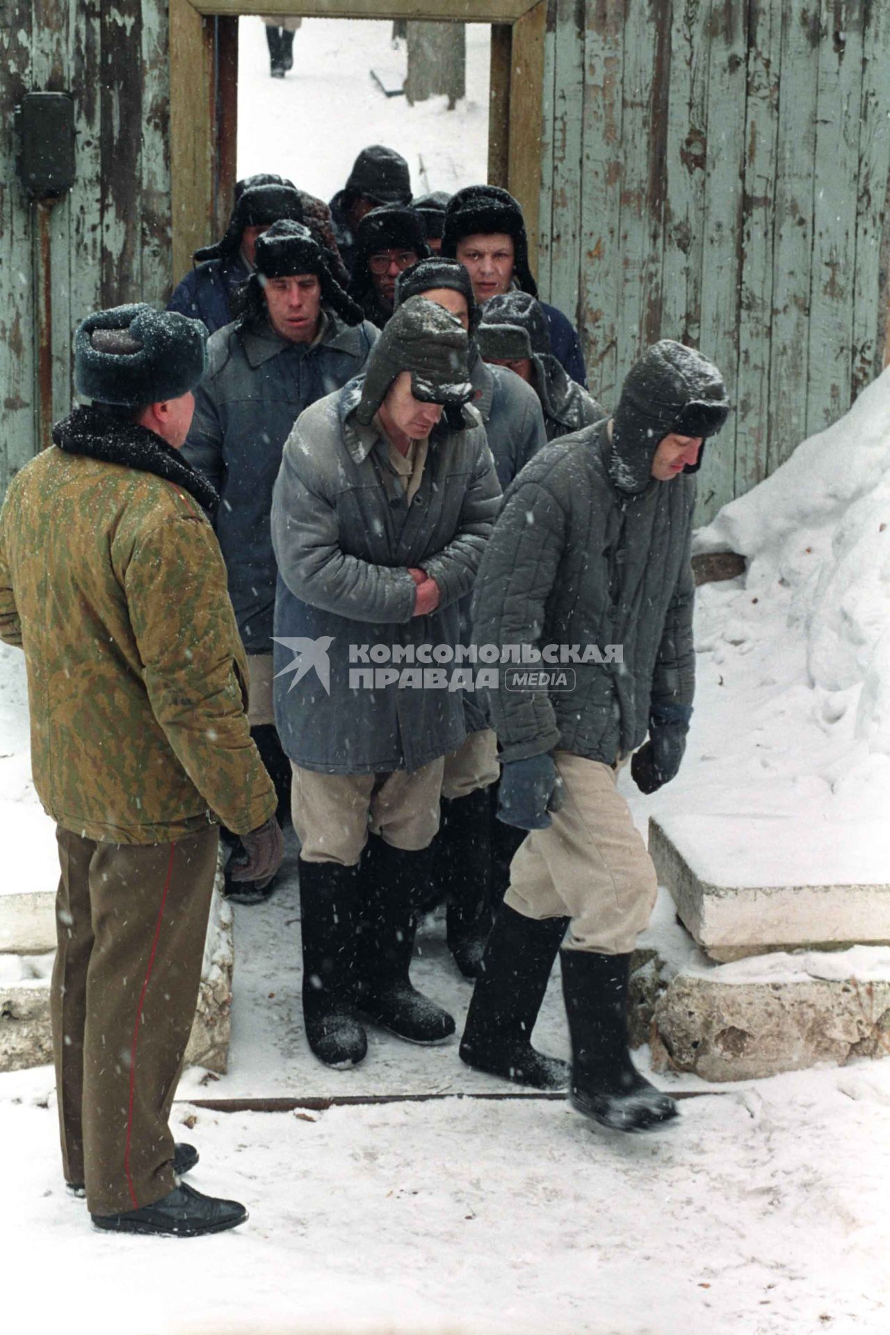 психи в лечебнице