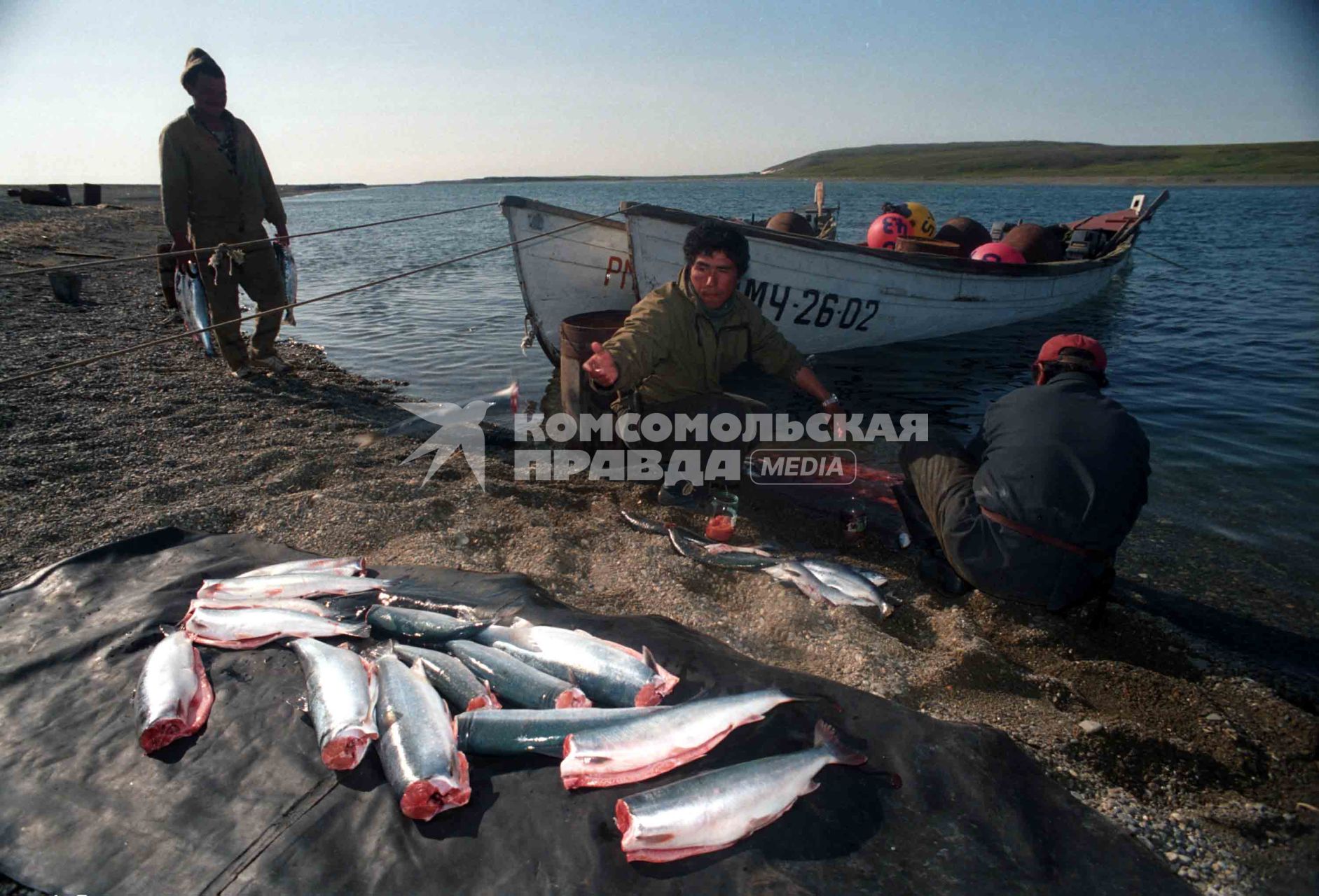 мужики выкладывают рыбу на берег