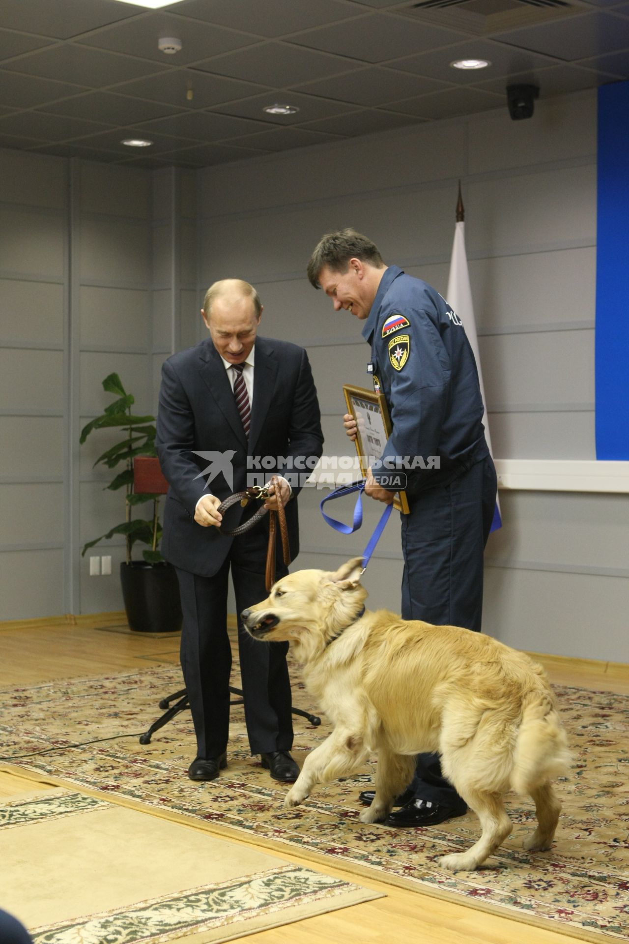 Владимир Путин наградил 20 спасателей-участников поисково-спасательных работ при ликвидации последствий аварии на Саяно-Шушенской ГЭС. 5-летний ретривер-голден по кличке Чарли, единственный из 20 работавших на развалах Саяно-Шушенской ГЭС собак, удостоился высокой оценки премьера.