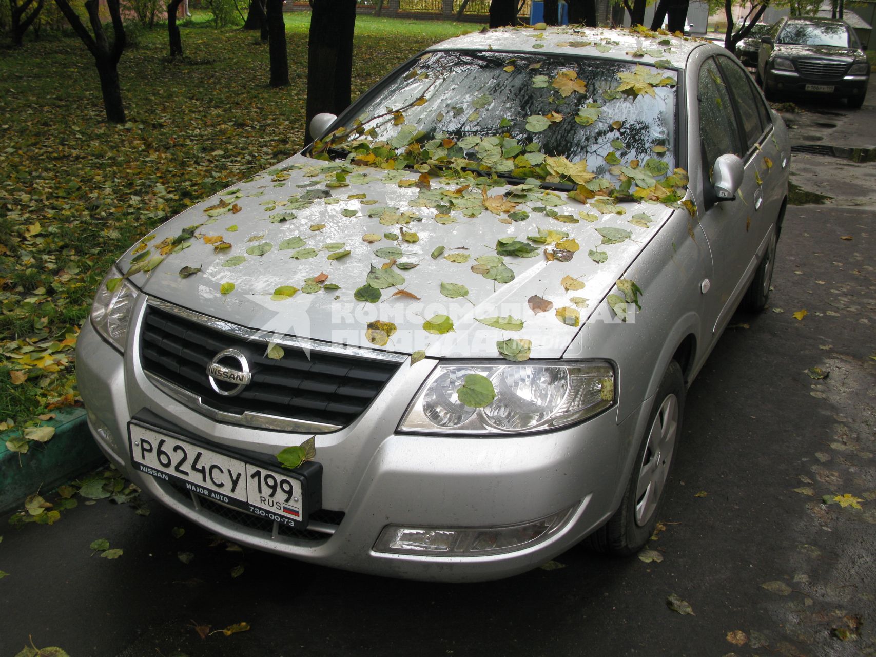 авто nissan осень опавшие листья парковка стоянка машин во дворе