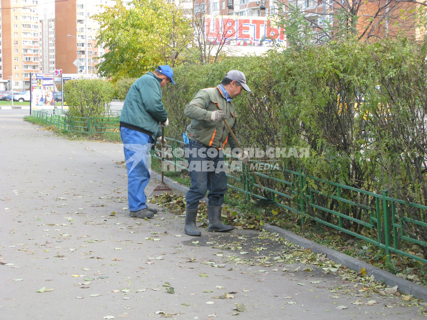 осень листопад уборка дворник