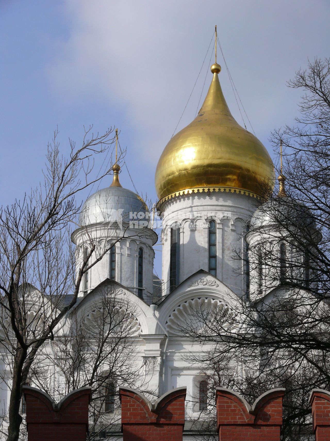 Московский Кремль. Купола Архангельского собора. Вид с Москворецкой набережной.