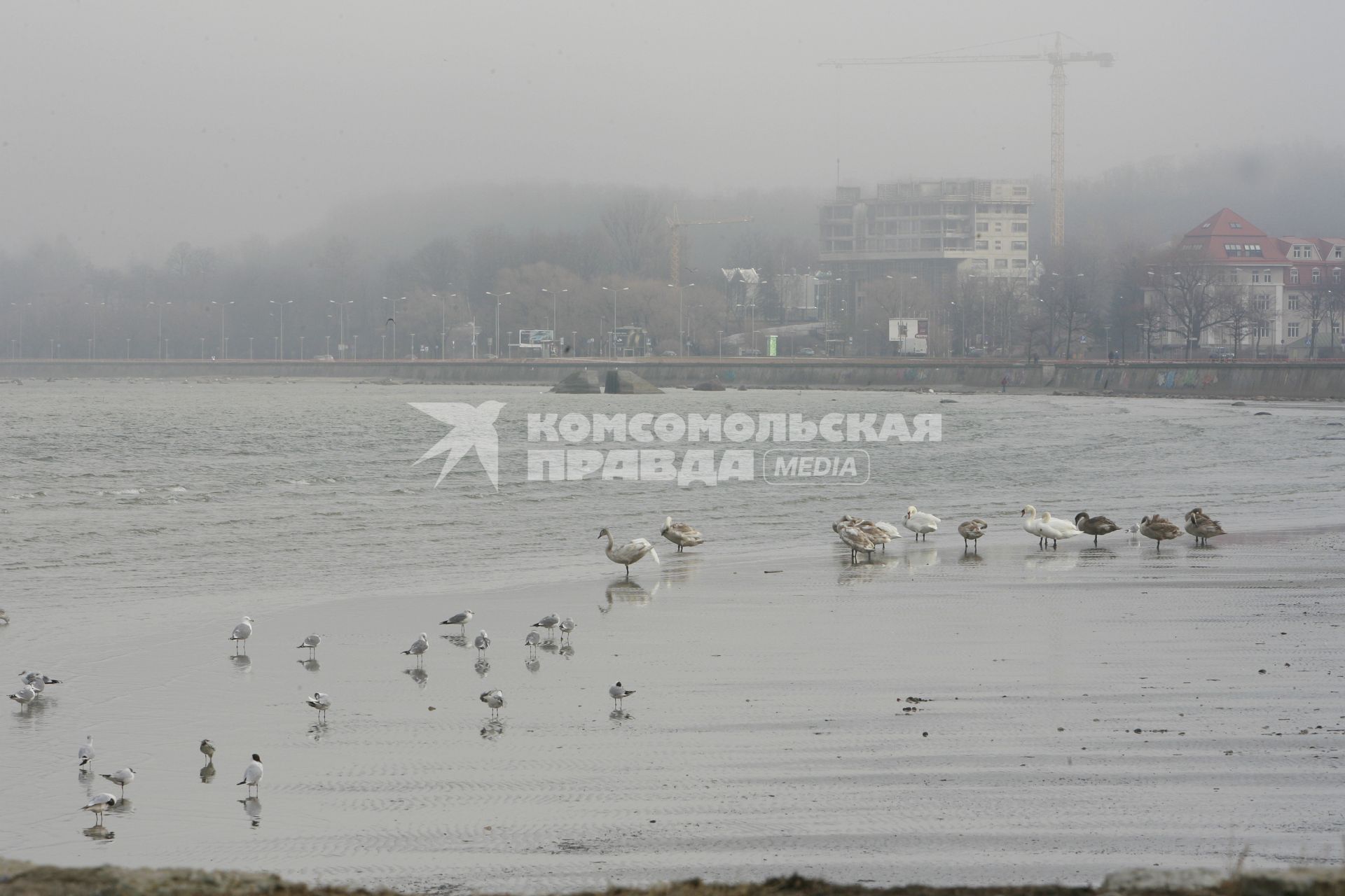 Таллин . столица Эстонии. Крупный пассажирский и грузовой морской порт.  Таллинн 24 марта 2007 фото Нечаевой Наталии