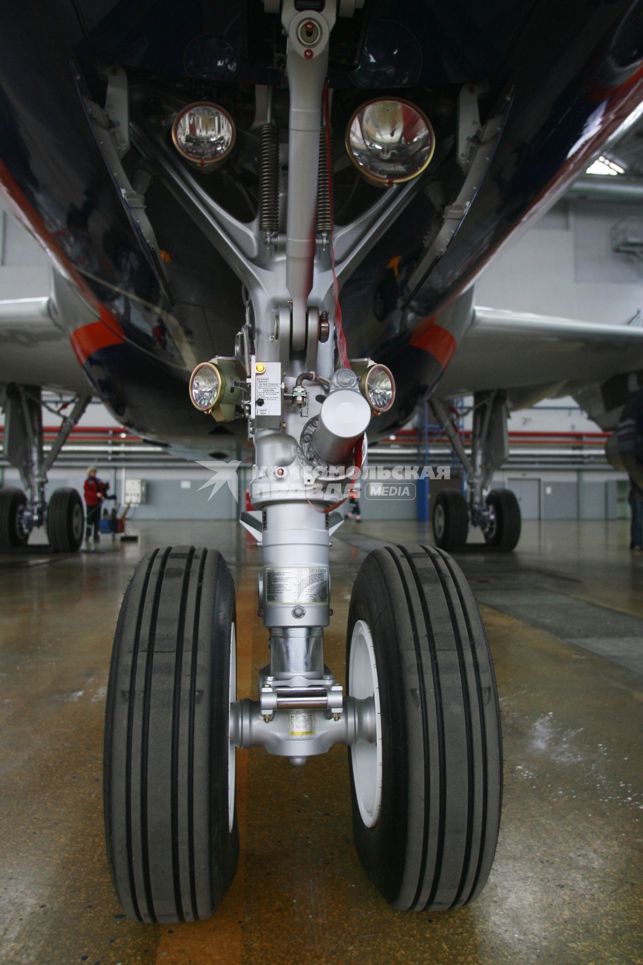 шасси самолета Аэрофлот - Российские авиалинии  VP-BUK Aeroflot - Russian Airlines Airbus A319-112.  СЕНКЕВИЧ НИКОЛАЙ