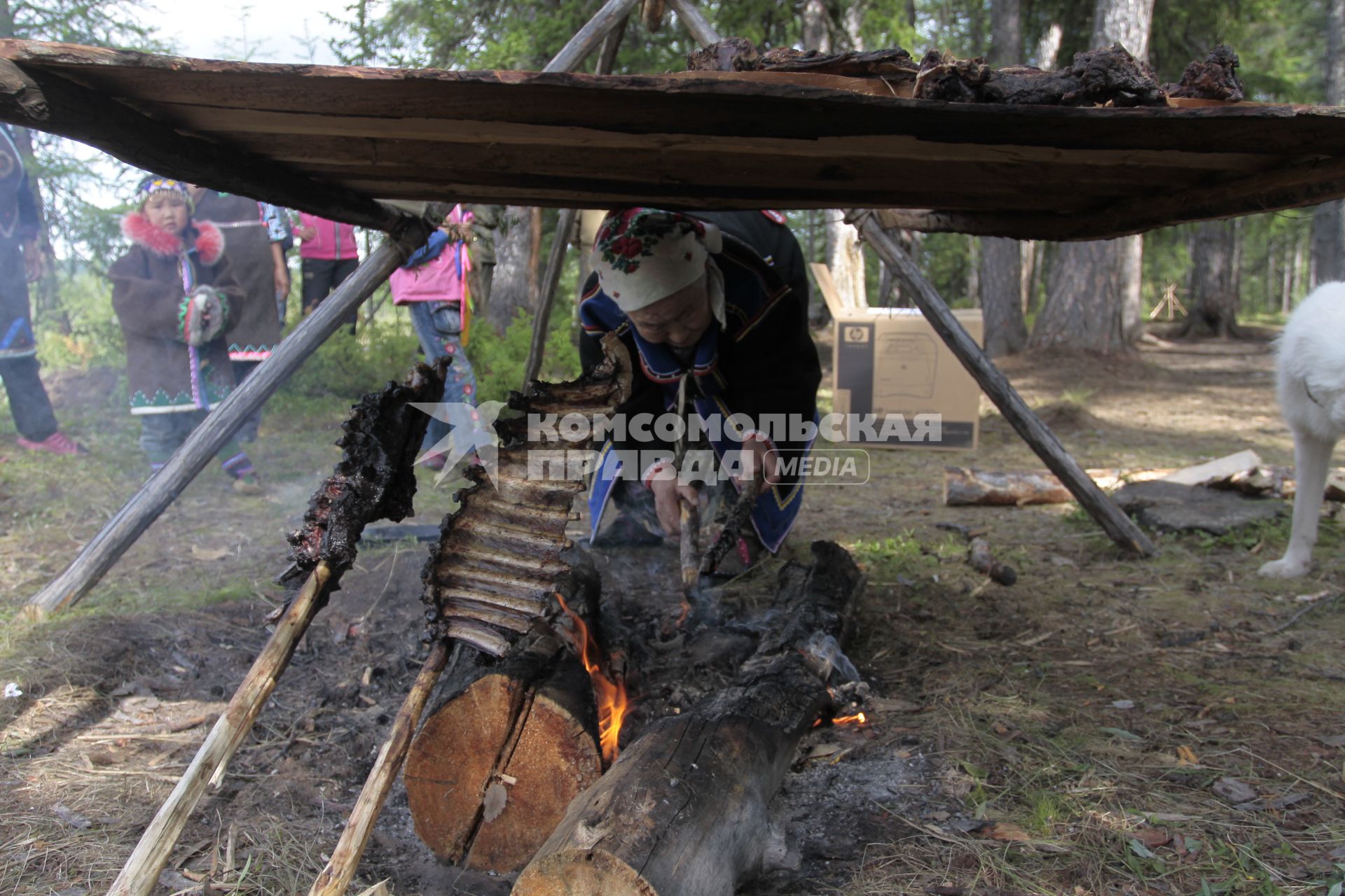 Оленеводческое хозяйство на севере Красноярского края