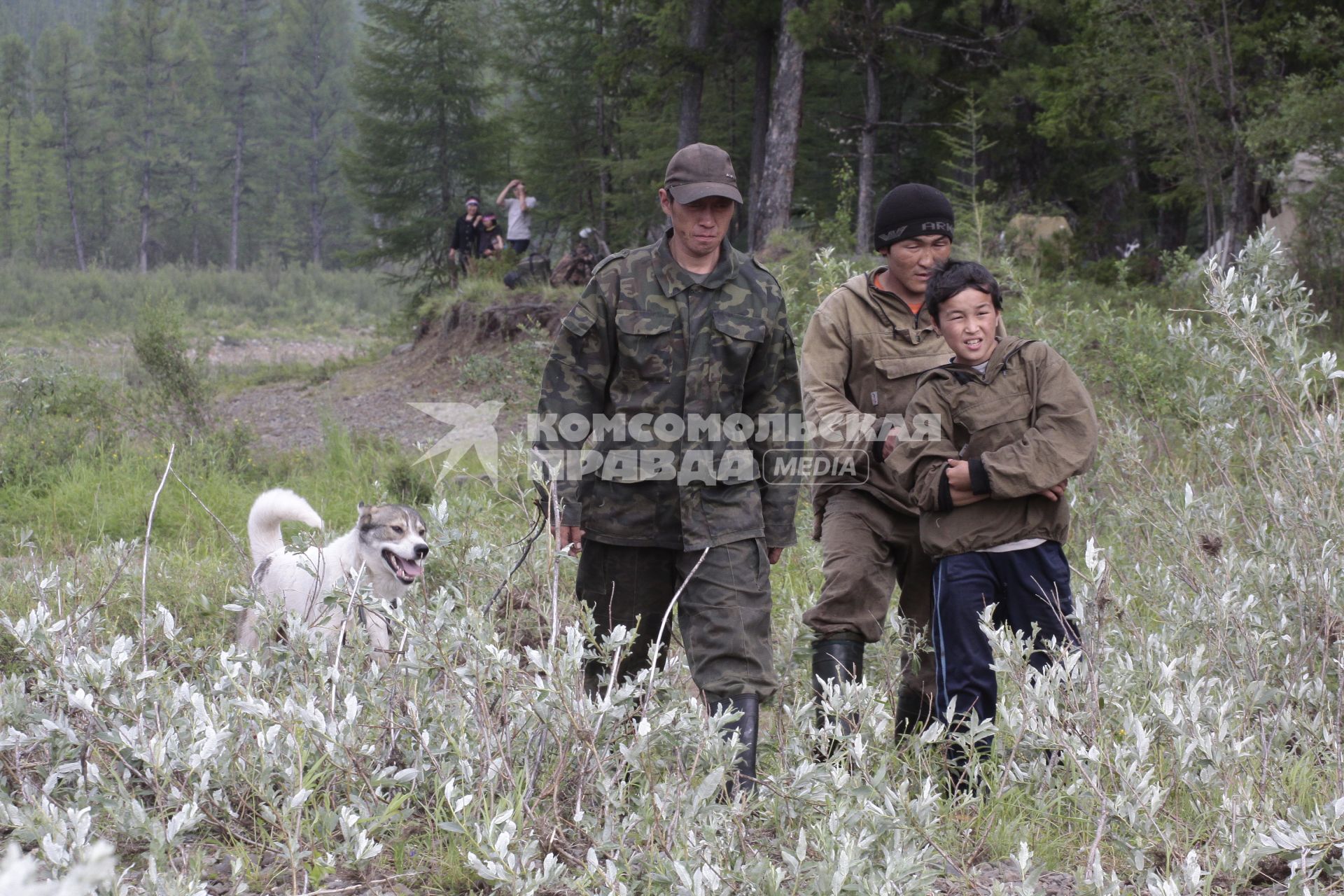 Оленеводческое хозяйство на севере Красноярского края