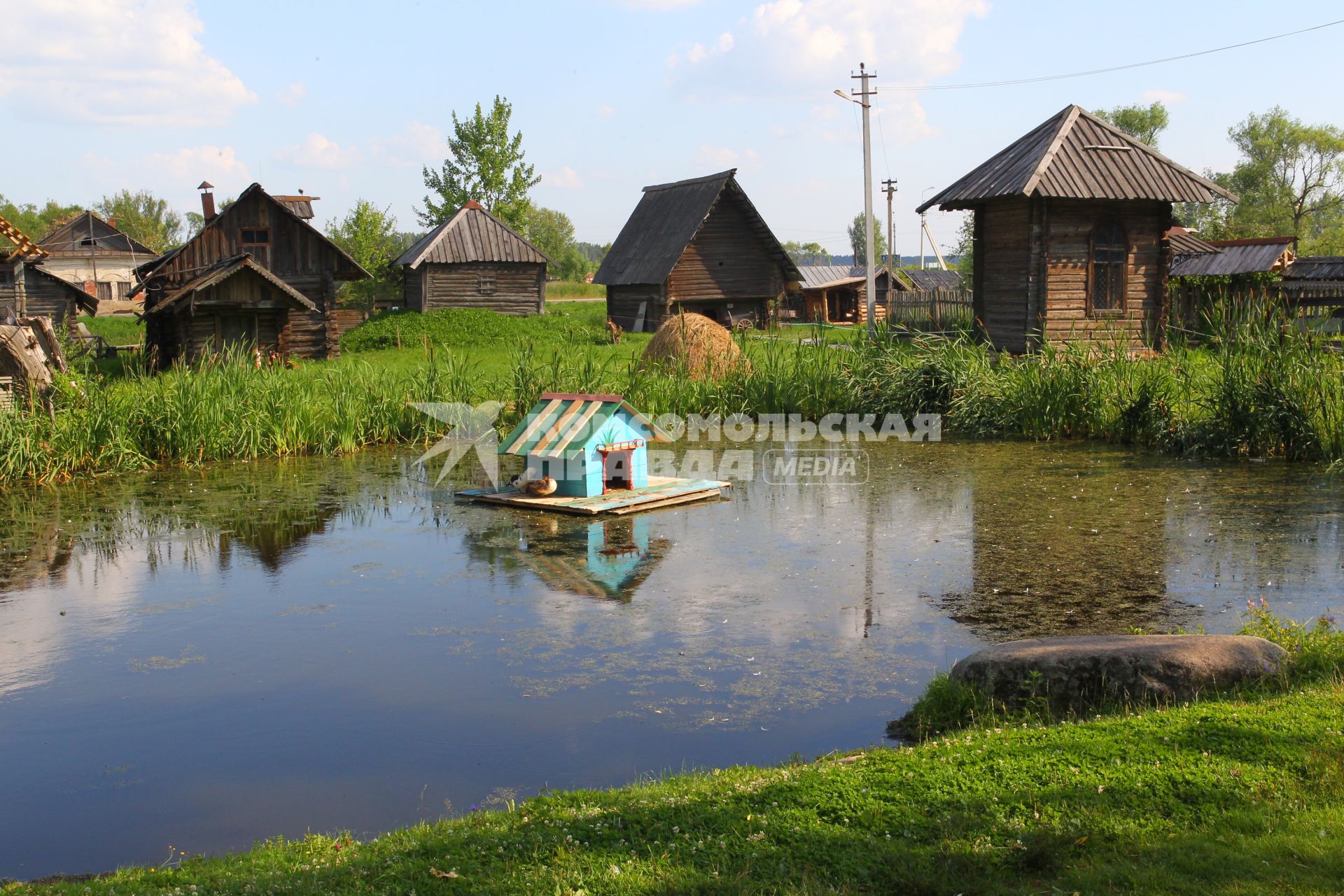 Город Мышкин Ярославской области, 16 июля 2010 года. Пруд. Птица. Изба. Село.