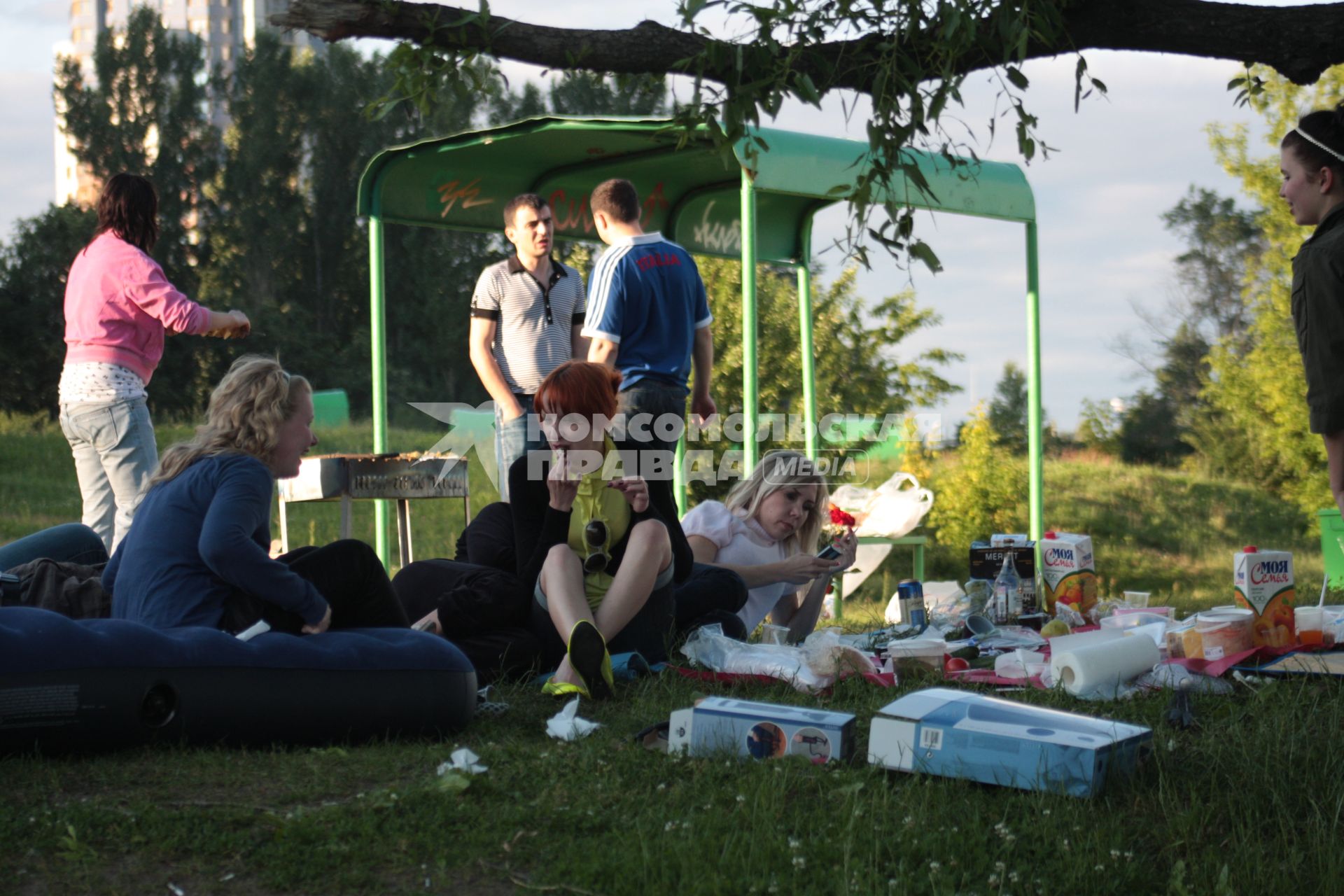 Москвичи в городских зонах отдыха, 12 июня 2010 года. Досуг. Выходной день. Пикник. Мусор. Шашлыки. Тара. Экология. Зона отдыха.