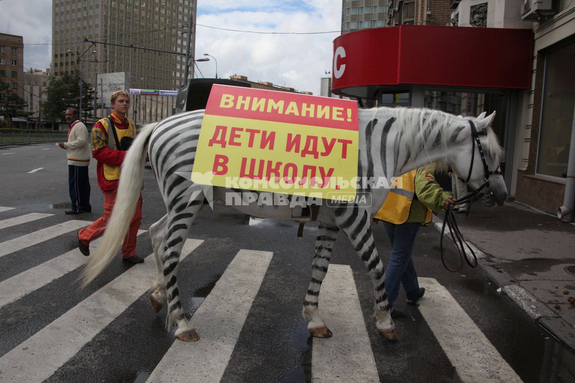 Акция БЕЗОПАСНАЯ ЗЕБРА. Милиционеры покрасили лошадей в зебр ради безопасности движения.  Фото: 03 сентября 2010 год. Правила дорожного движения, водитель внимание за рулем, дети, пешеходы на дороге.