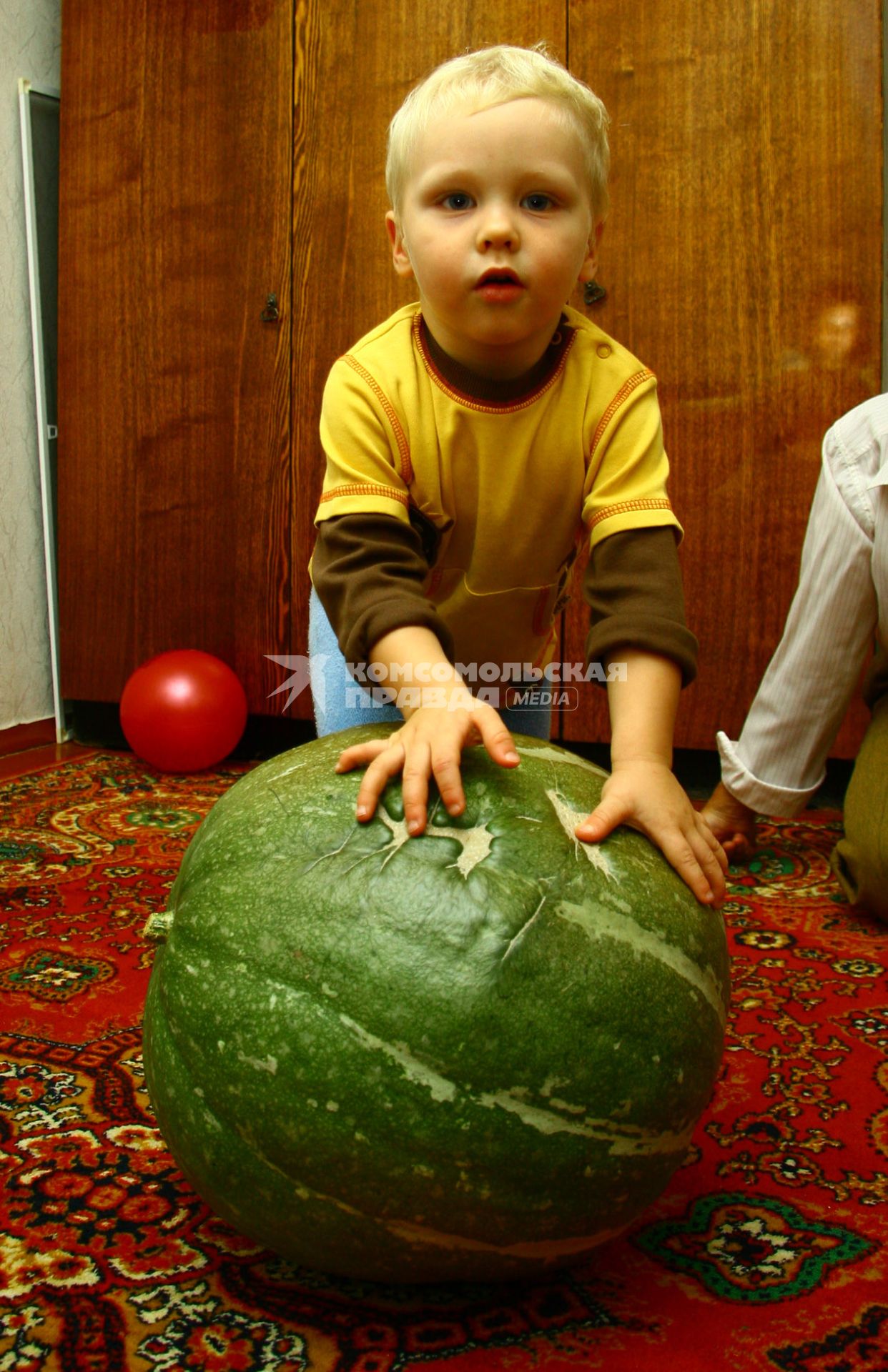 Нижний Новгород. 24.09.2008. Урожай. Сбор урожая. Тыква. Большая тыква. Ребенок. Дети. Осень.