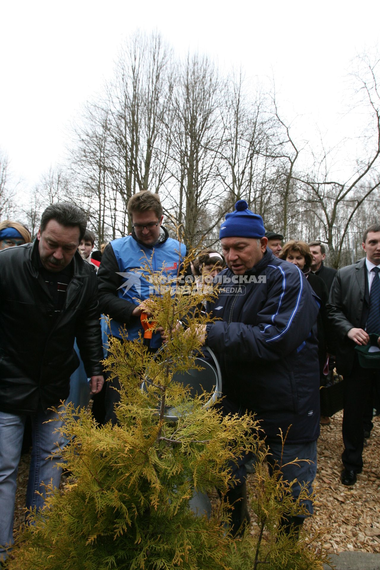 14 апреля 2007 года. Юрий Лужков сажает деревья на субботнике. Дерево. Туя. Посадка. Лопата. Ведро.