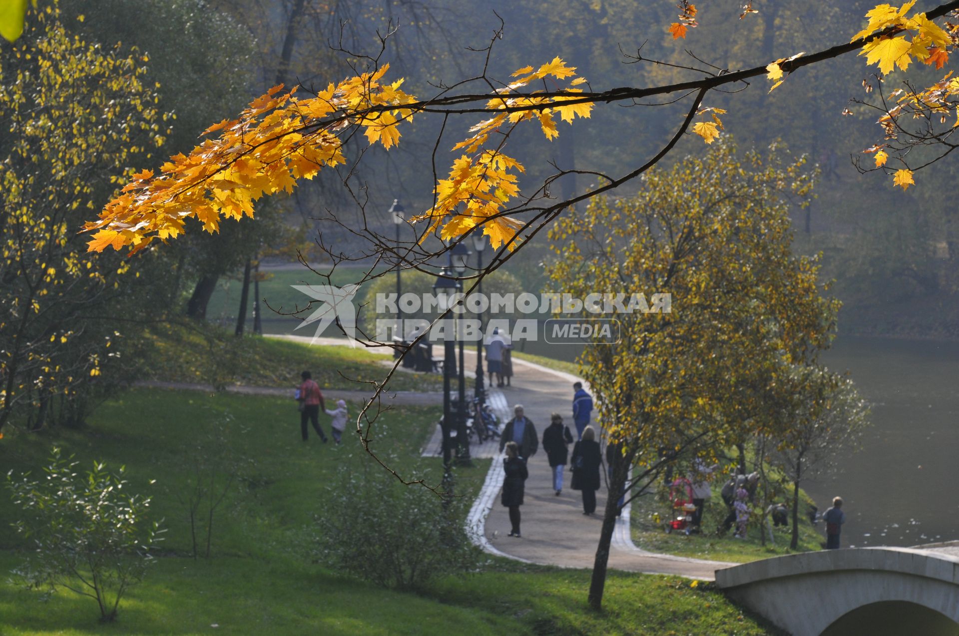 14 ноября 2008 года. Осень. Отдых в парке. Ветка.