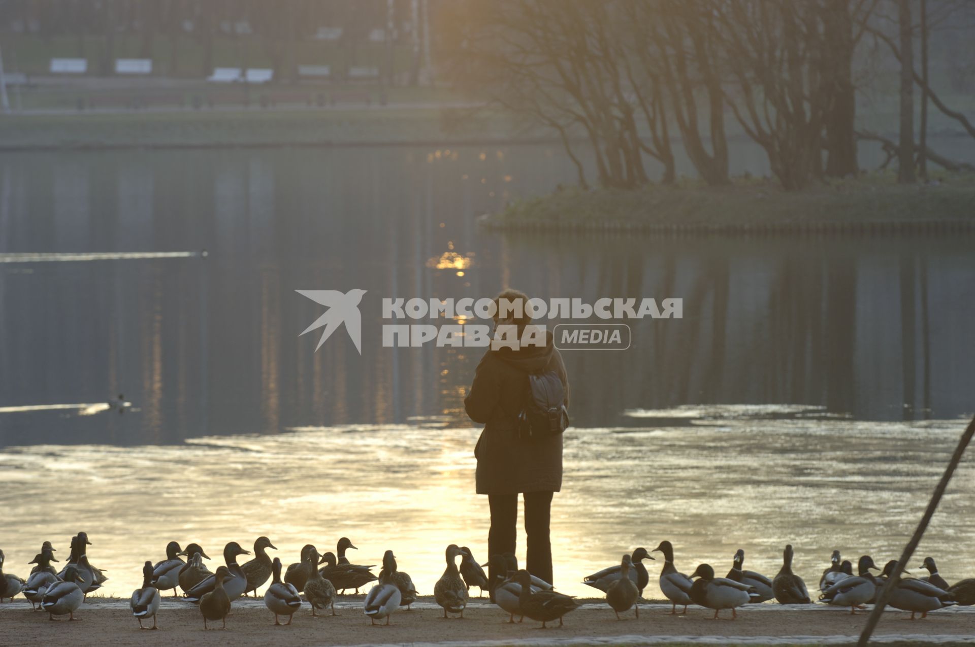 13 ноября 2008 года. Осень. Царицыно. Женщина кормит уток на берегу пруда.