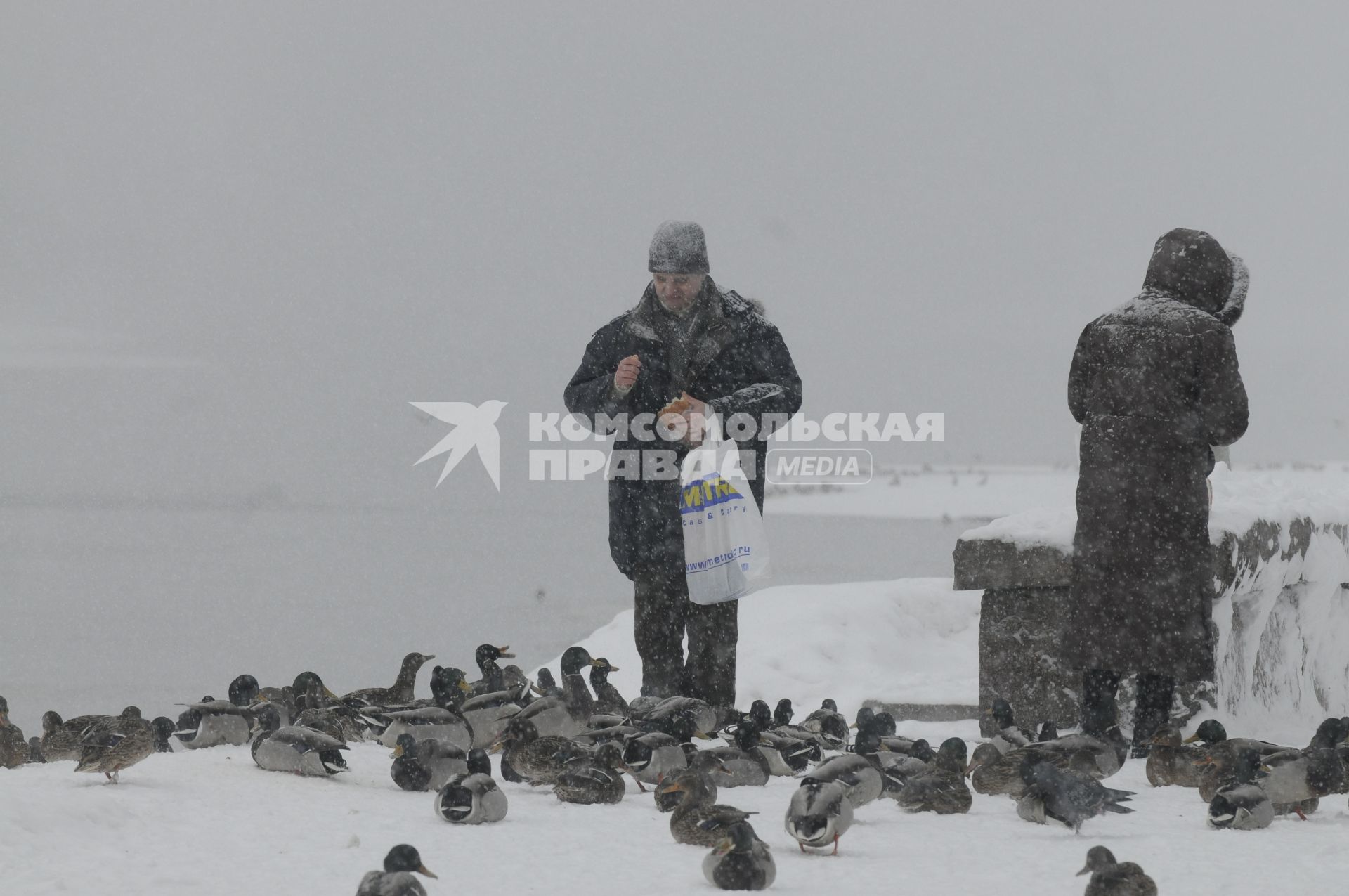 10 января 2010 года. Гуляющие кормят оставшихся на зиму уток.