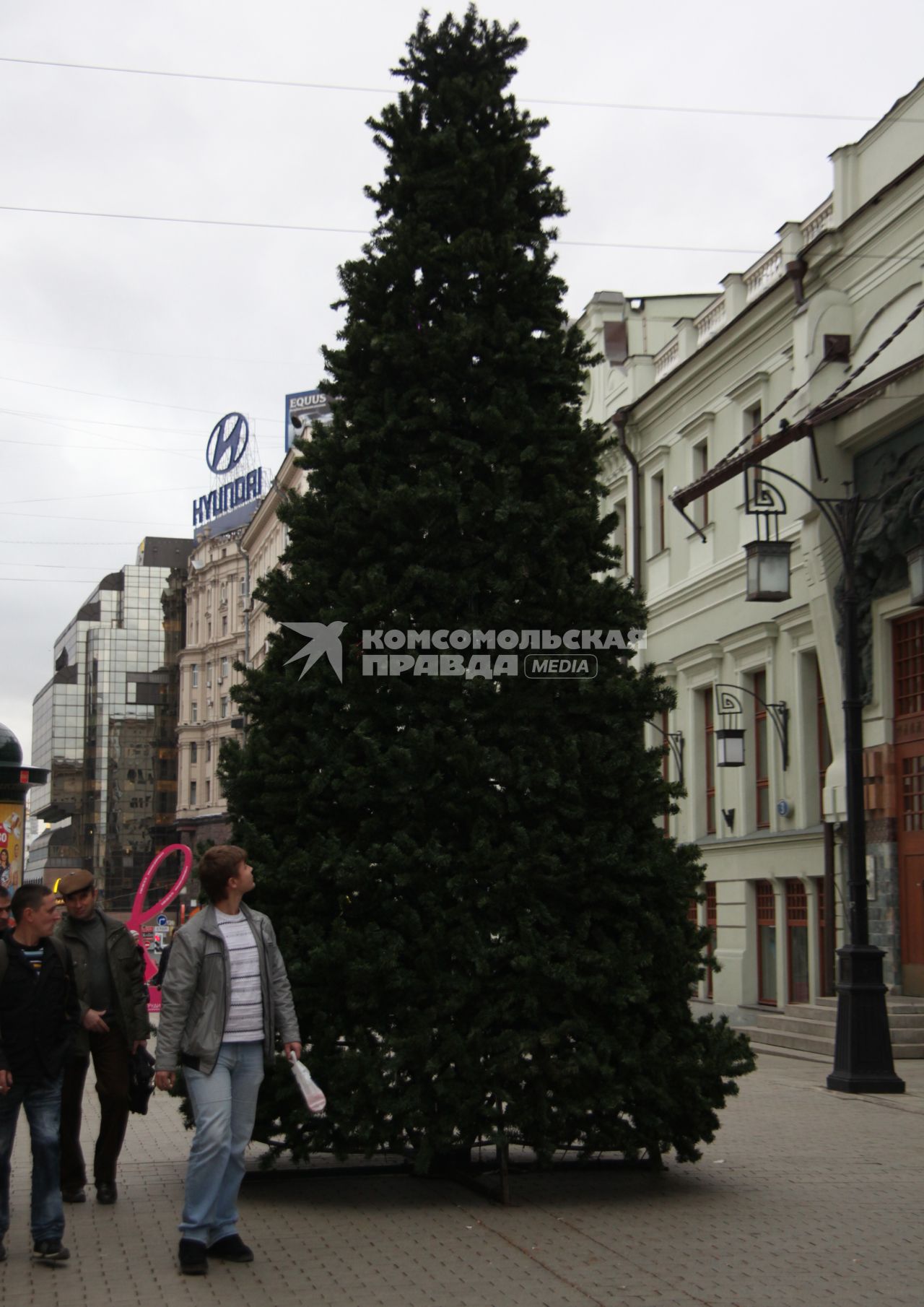 Дата съемки : 11.11.2010
На фото : елка установленная в Москве