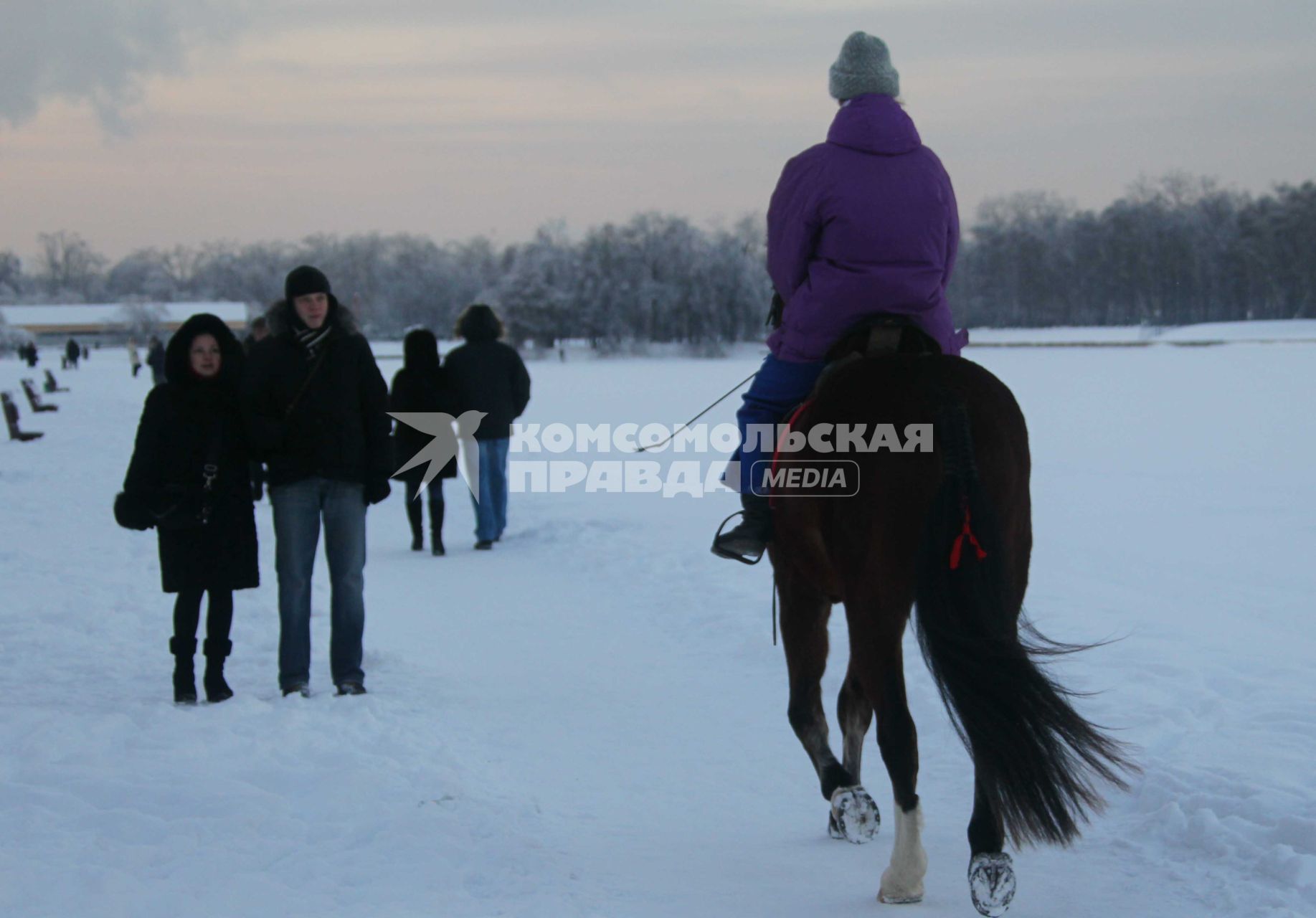 Дата съемки: 05.01.2011 Катание верхом на лошади, зима, снег, отдых