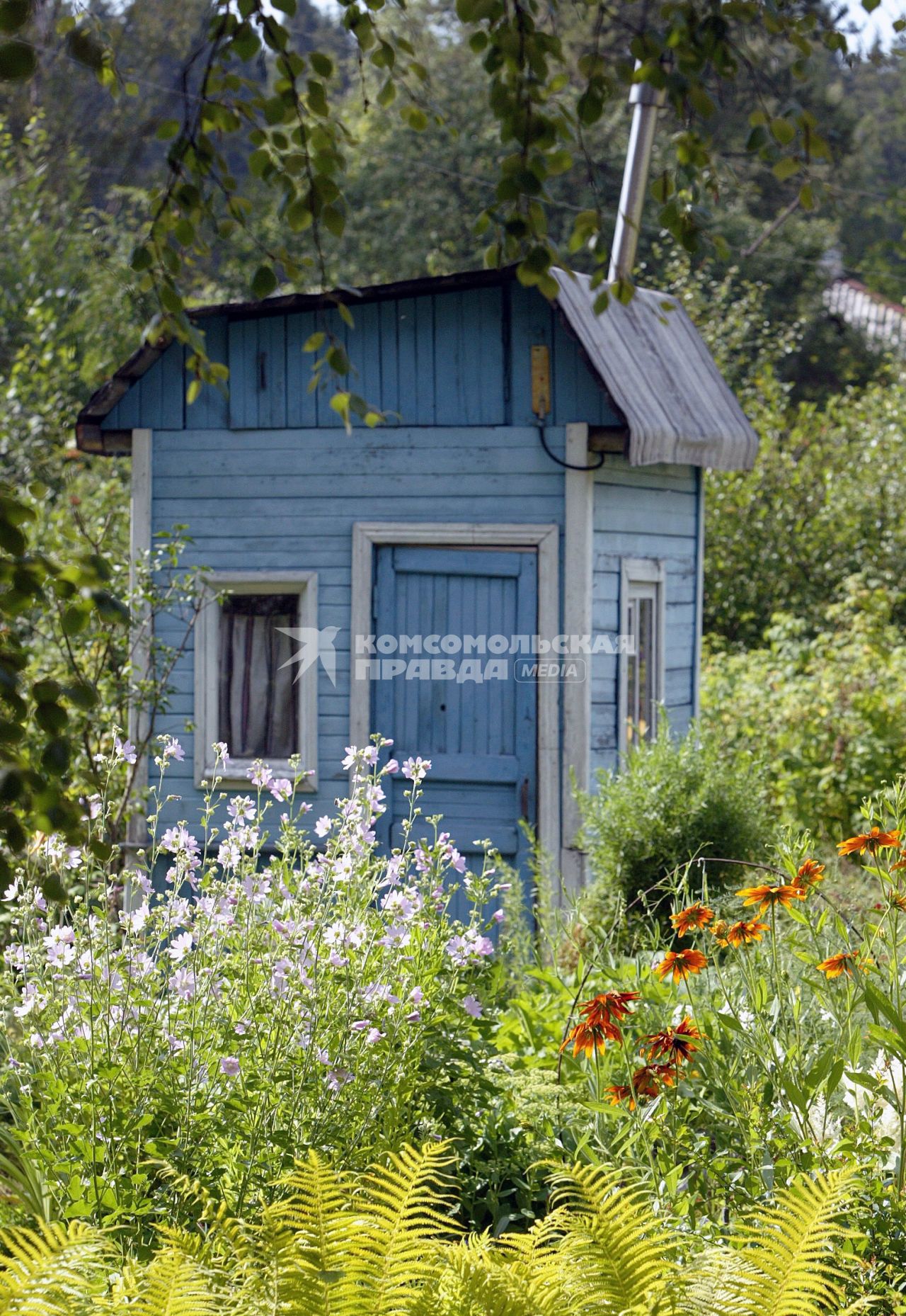 дачный поселок репино  02.08.2006