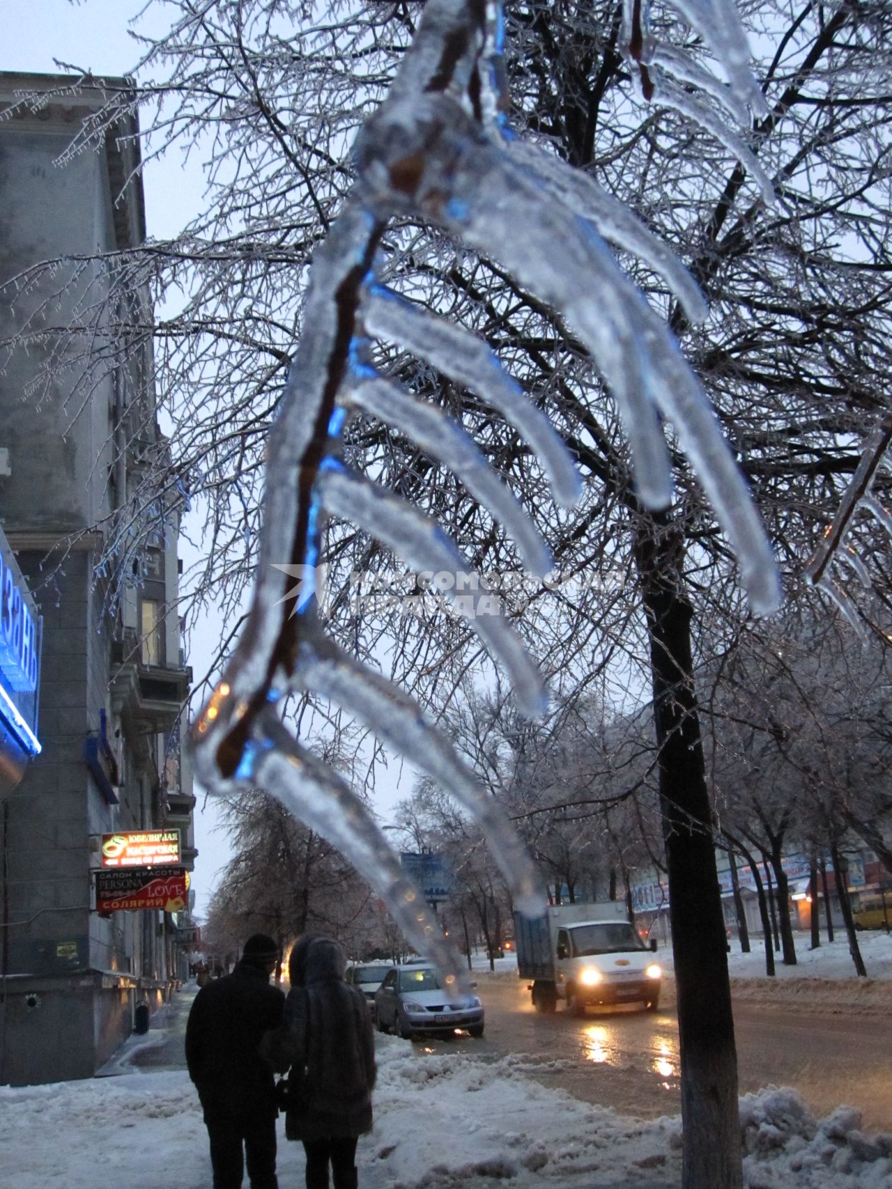 Дата съемки: 08 декабря  2010. Деревья покрытые льдом.