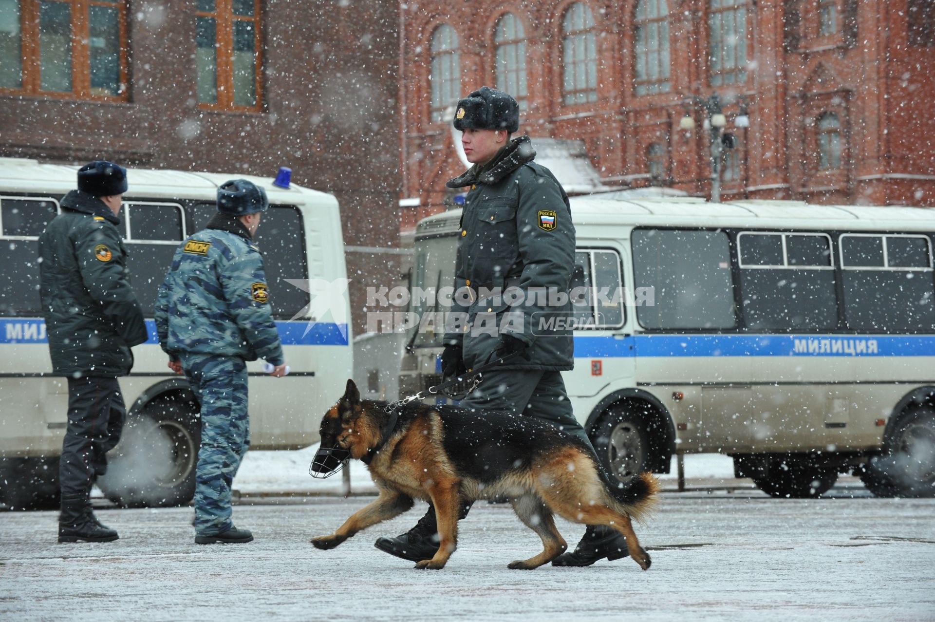 Россия. Москва. 15 января 2011. Манежная площадь, милиция, милиционер. Служебная собака.