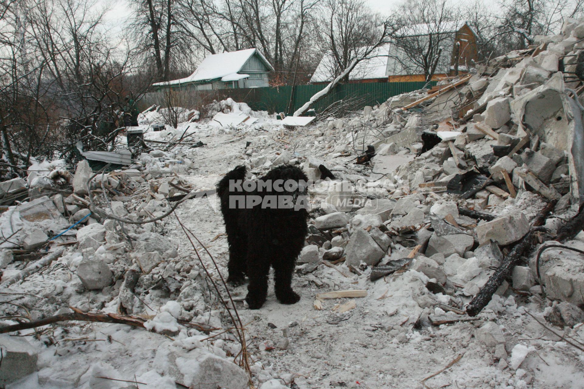 27 января 2010 года. Поселок Речник. Развалины