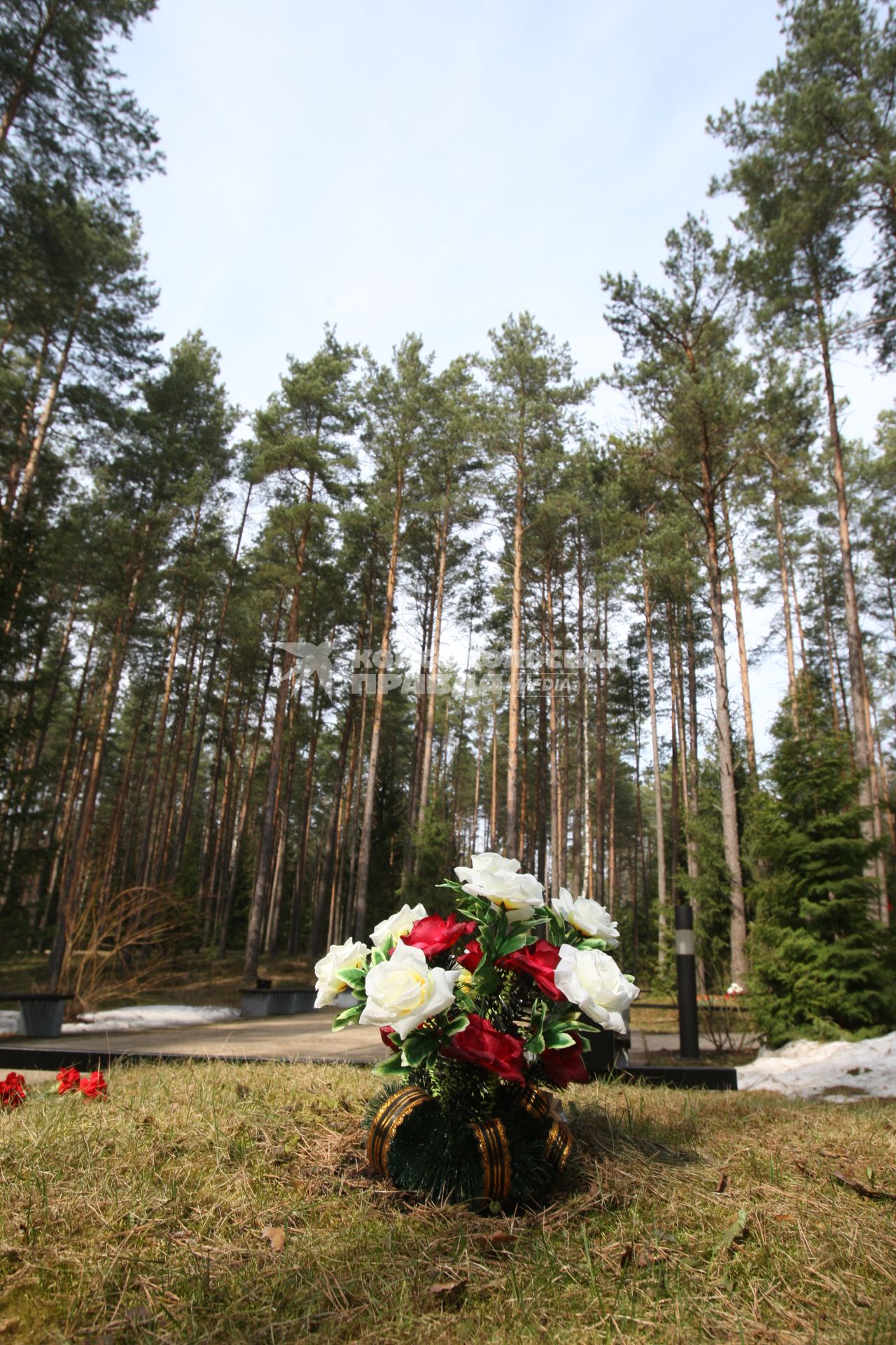 Траурные мероприятия посвященные 70 летней годовщине расстрела польских офицеров в мемориальном комплексе КАТЫНЬ под Смоленском. На снимке: Часть мемориального комплекса . 7 апреля 2010 года.