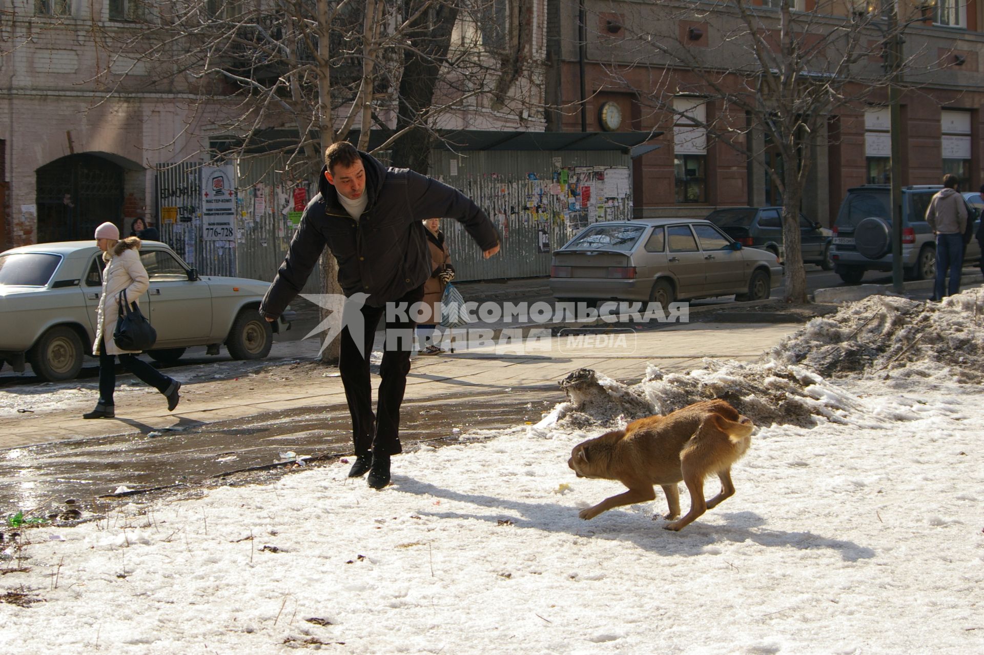 Собака нападает на мужчину, идущего по улице, Саратов, 17 марта 2009 года. Бродячие собаки, собака, покусала собака, мужчина, зима, снег, укус собаки