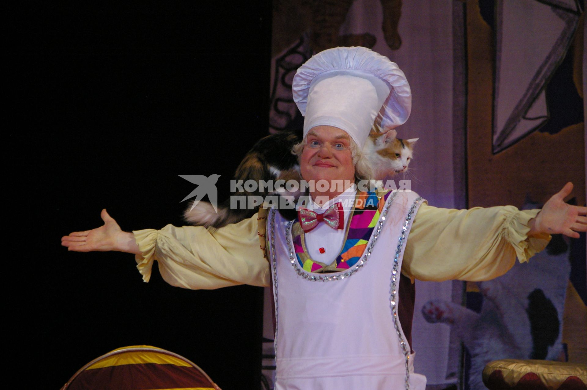 Юрий Куклачев, представление \"Кошкин дом\", Саратов, 19 марта2009 года, дрессировка, дрессура, кошка.