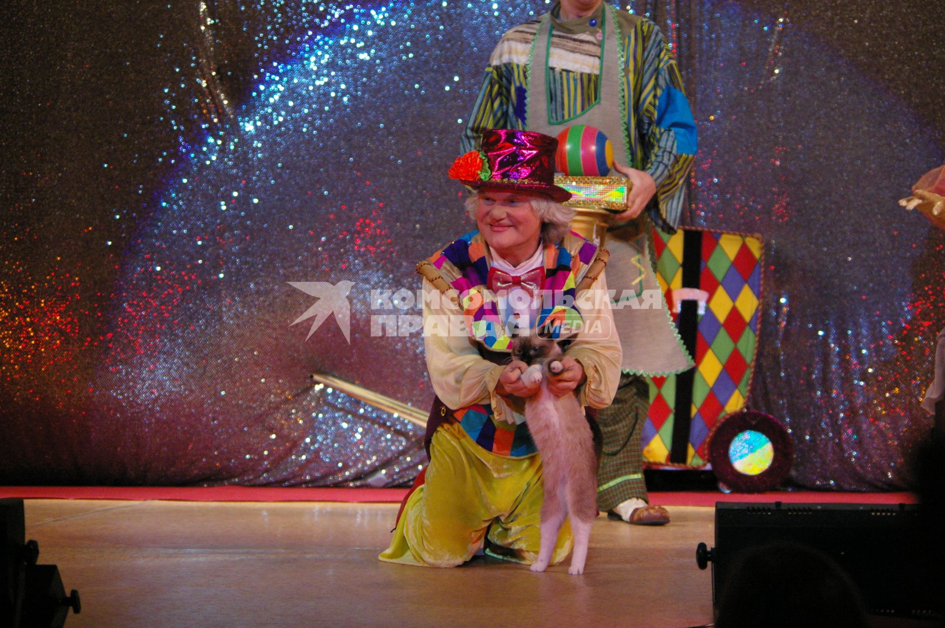 Юрий Куклачев, представление \"Кошкин дом\", Саратов, 19 марта2009 года, дрессировка, дрессура, кошка.