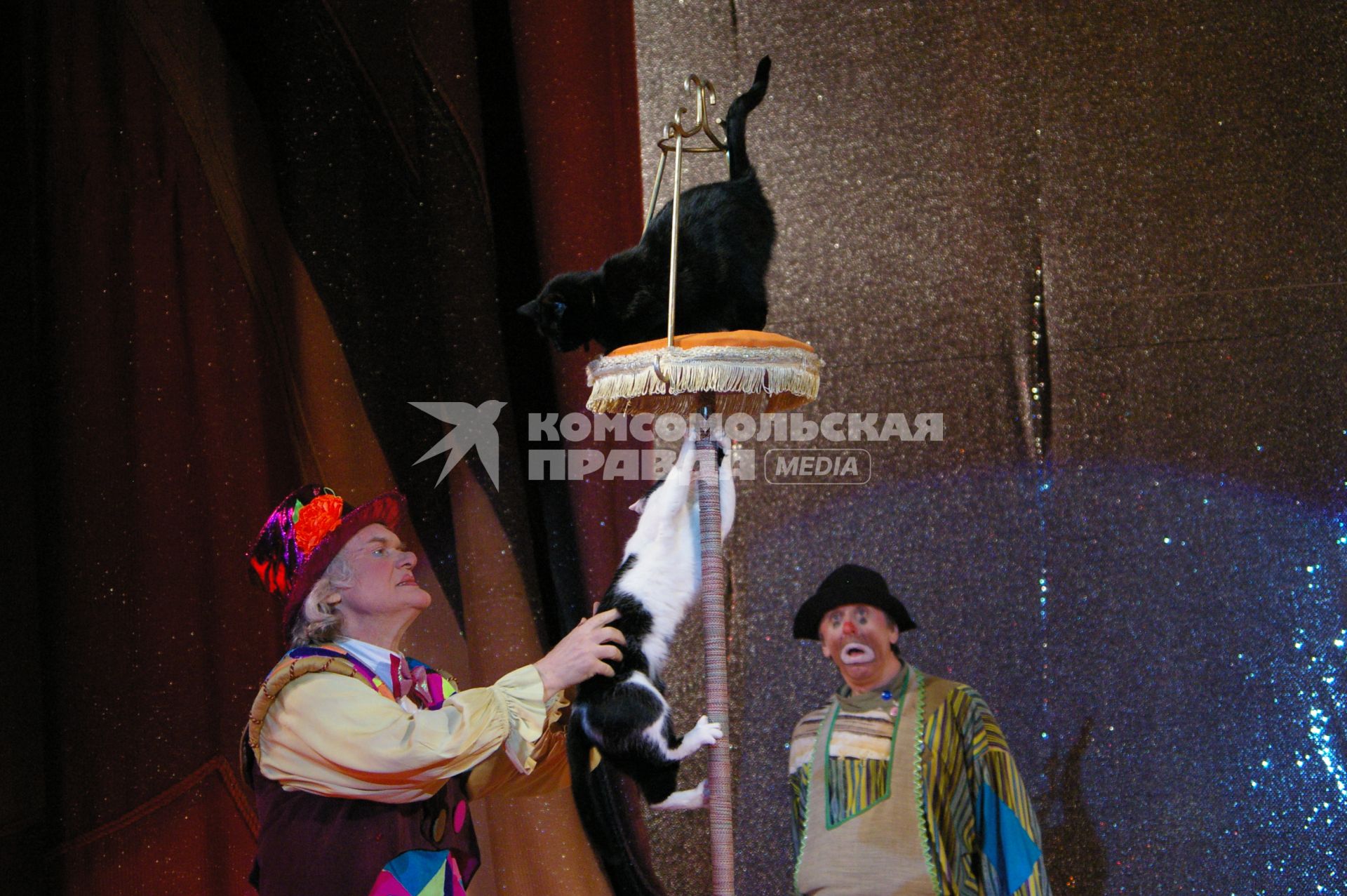 Юрий Куклачев, представление \"Кошкин дом\", Саратов, 19 марта2009 года, дрессировка, дрессура, кошка.