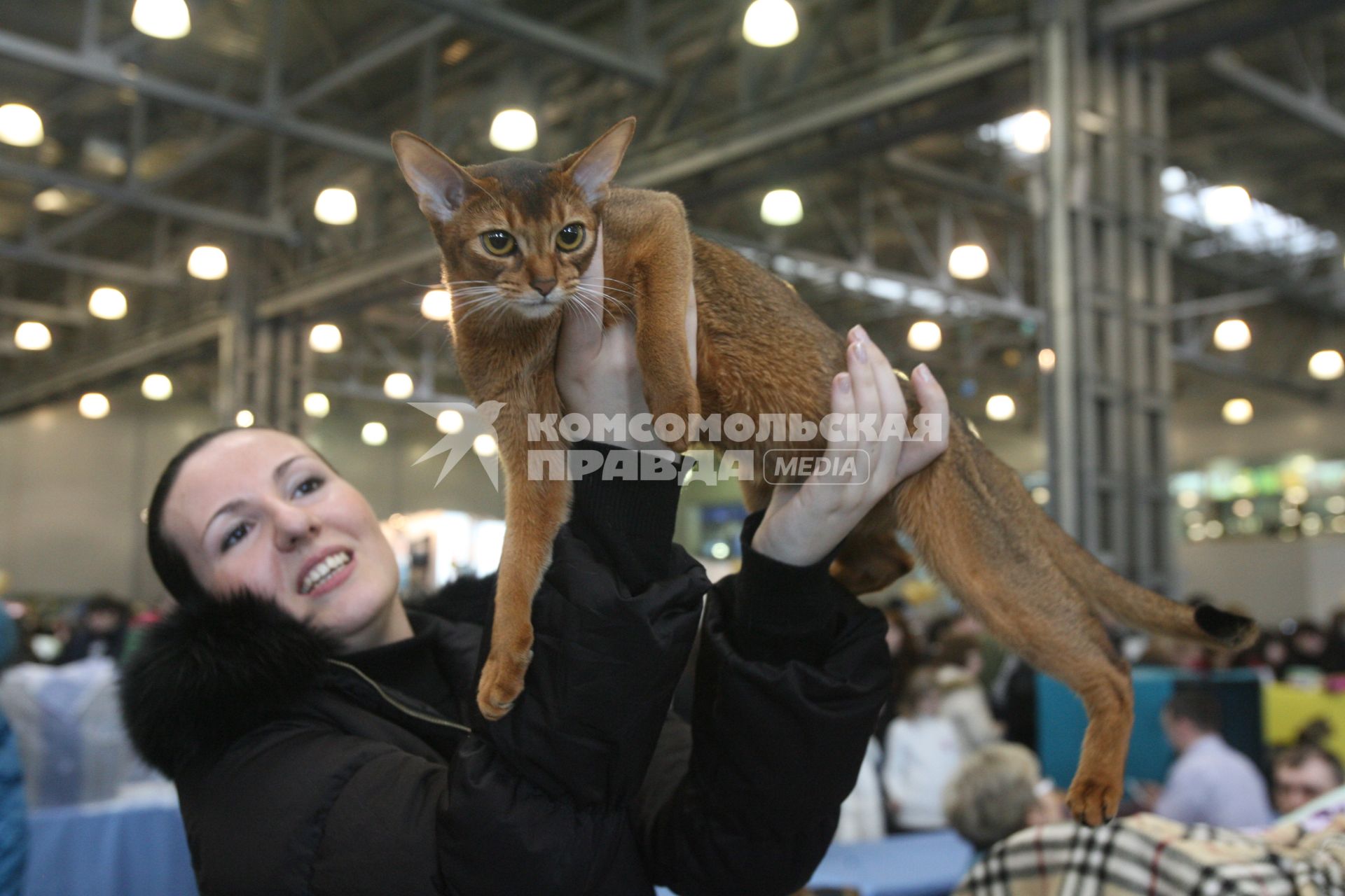 Международная выставка кошек в Крокус Экспо, Москва, 7 марта 2011 года.