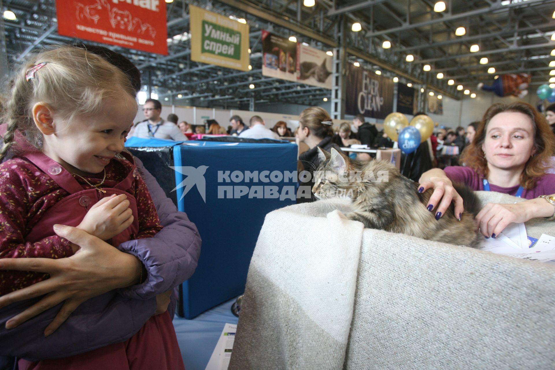 Международная выставка кошек в Крокус Экспо, Москва, 7 марта 2011 года.