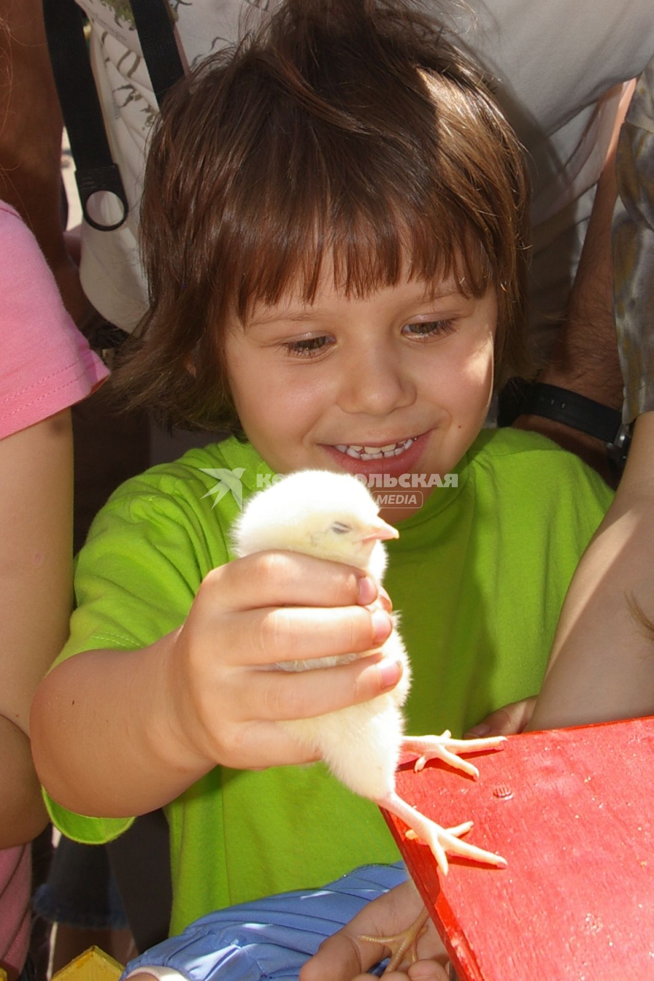 Мальчик играет с цыпленком, Саратов, 15 мая 2010 года