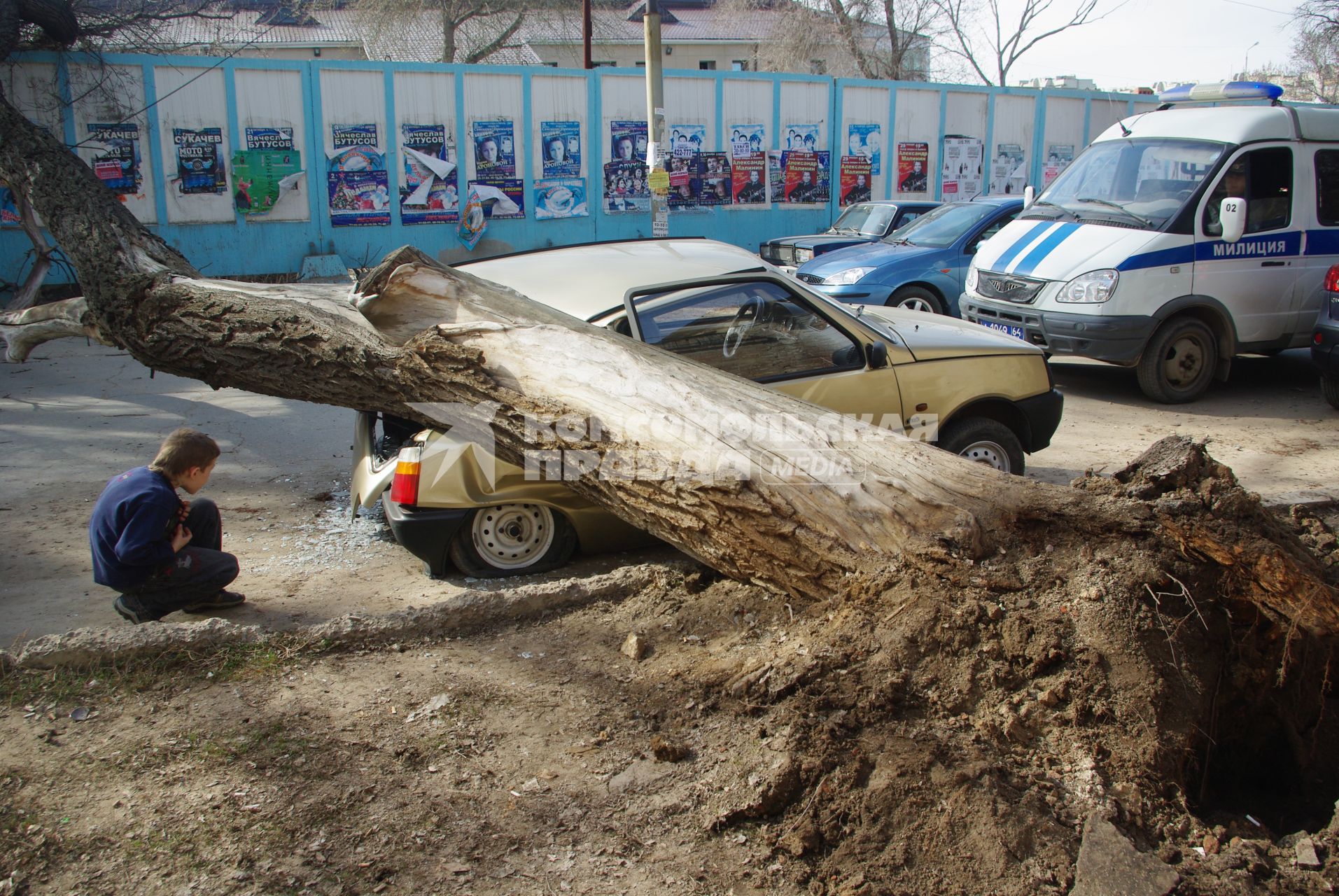 На машину ОКА упало дерево, Саратов, 21 апреля 2010 года,