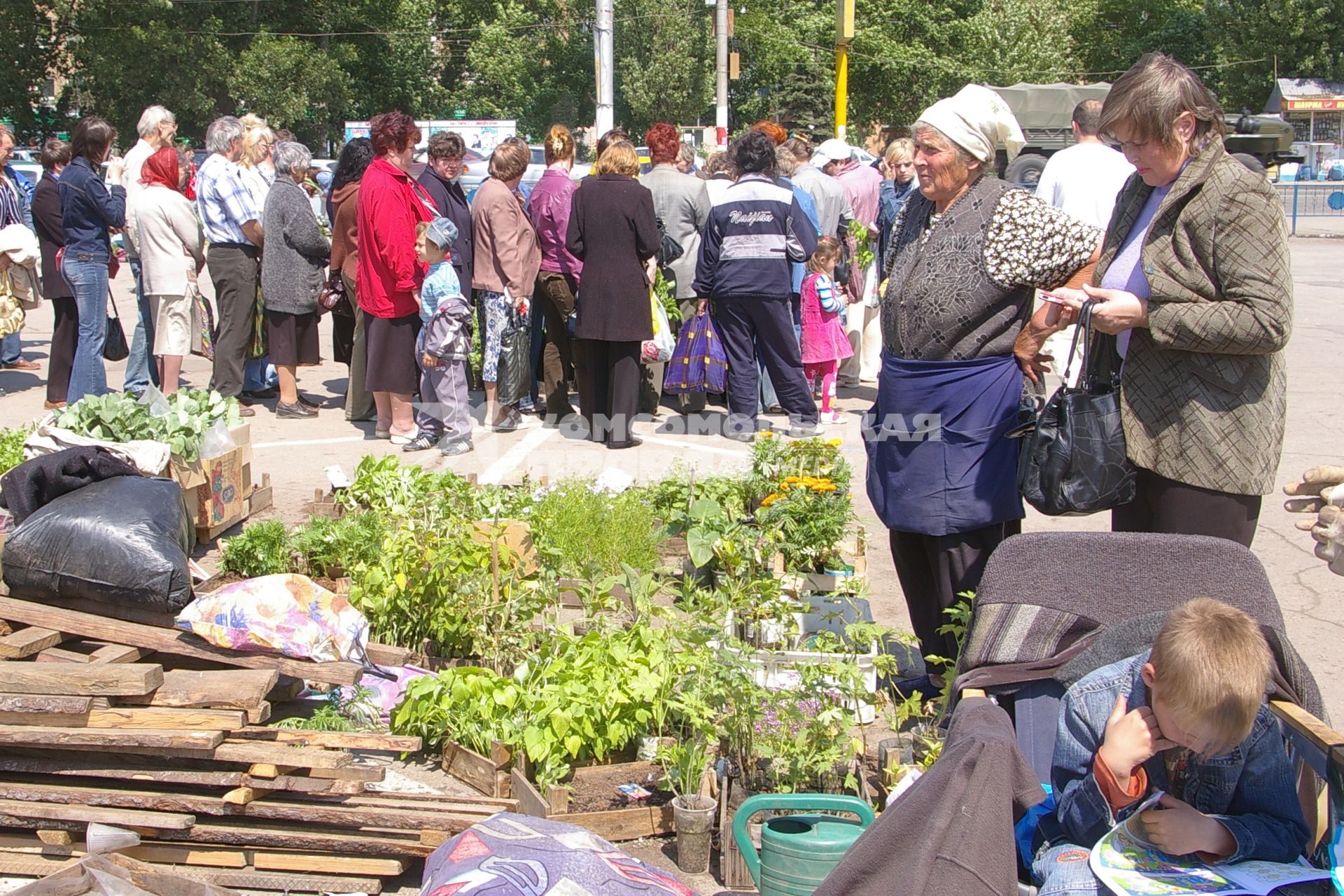 Дачники скупают рассаду, Саратов, 10 июня 2008 года