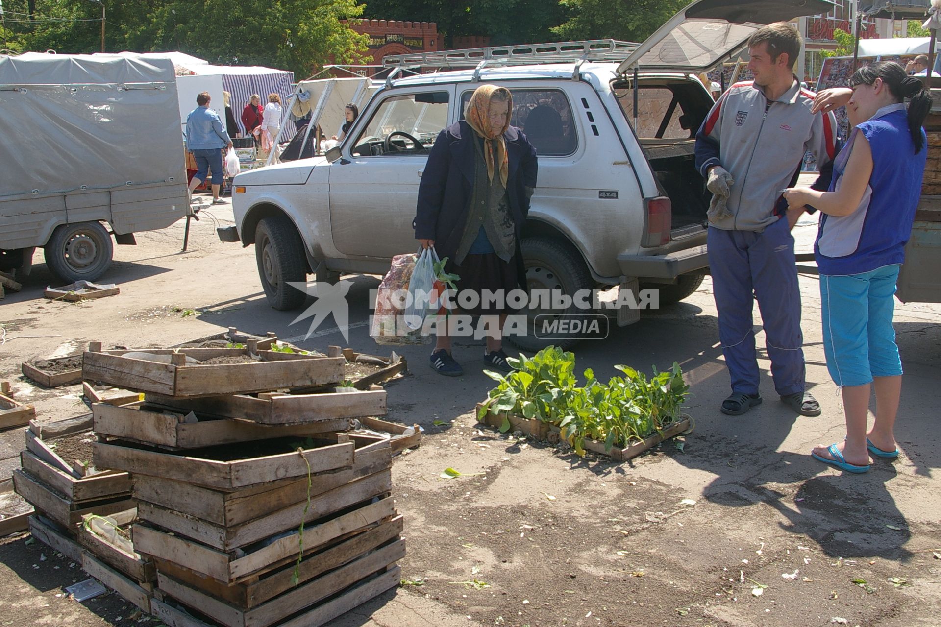 Дачники скупают рассаду, Саратов, 10 июня 2008 года