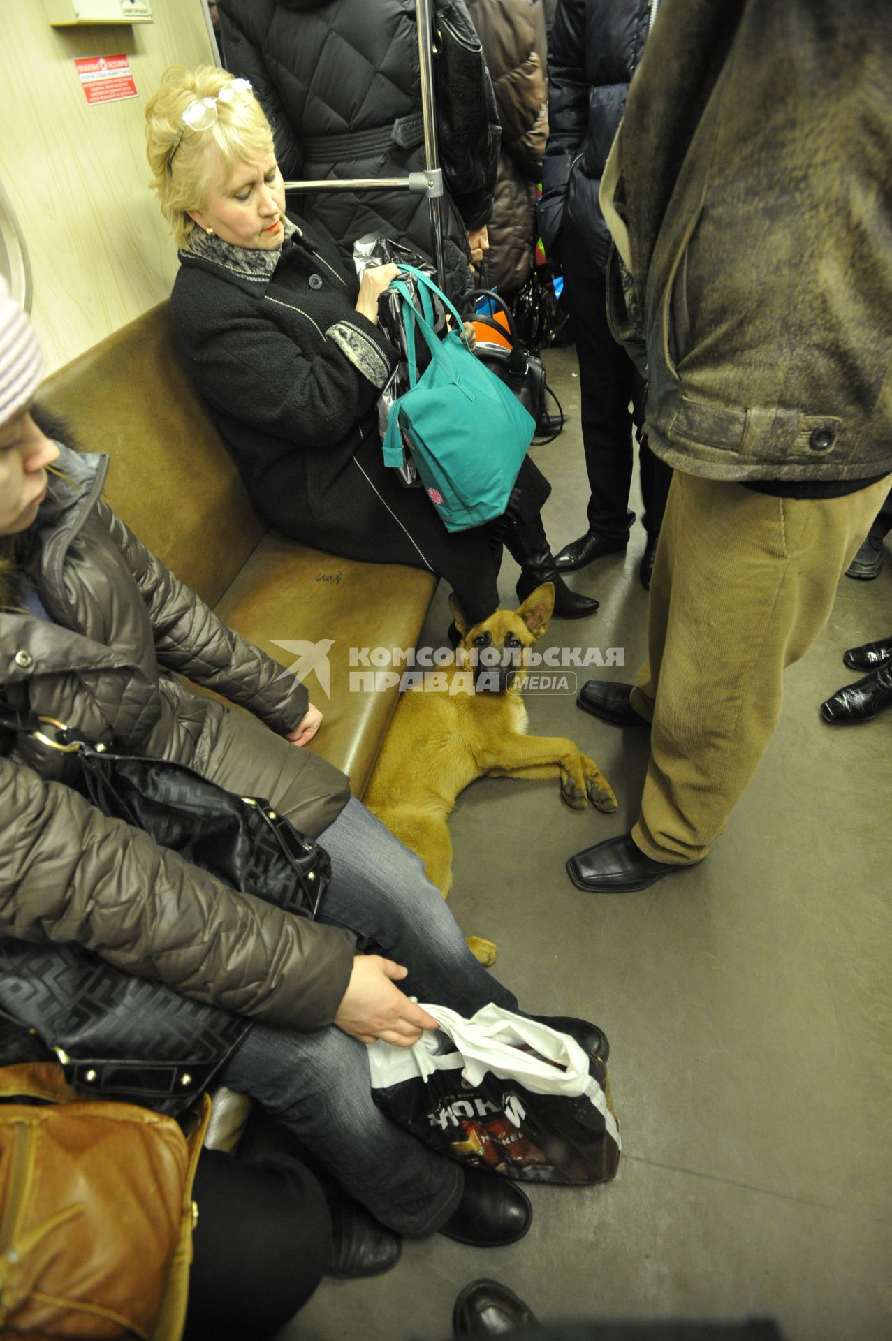 30 марта 2011г. Россия, Москва. Метро, метропес.