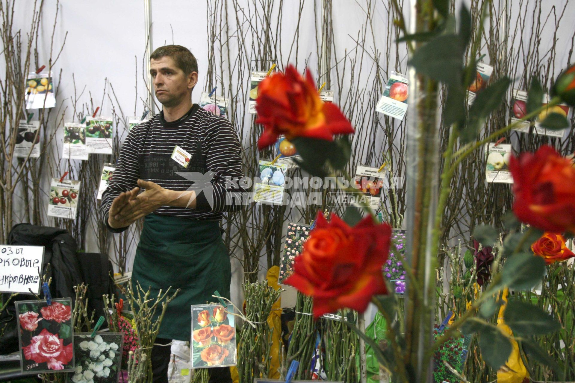 Продажа саженцев роз на выставке \"Ландшафтная архитектура и флористика\", 6 апреля 2011 года