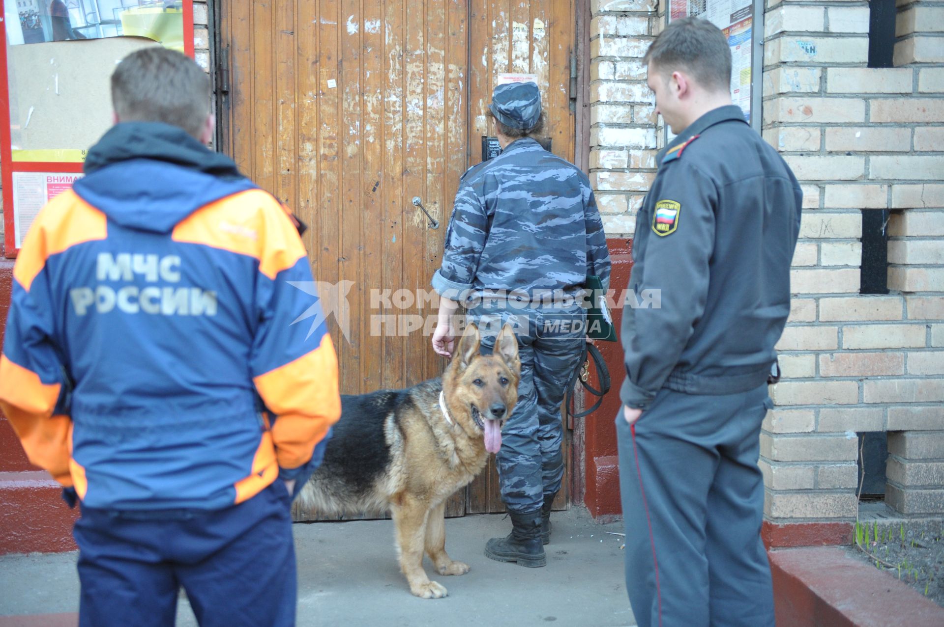 Ложное заминирование дома, обыск с собакой, Москва, 26 апреля 2011 года