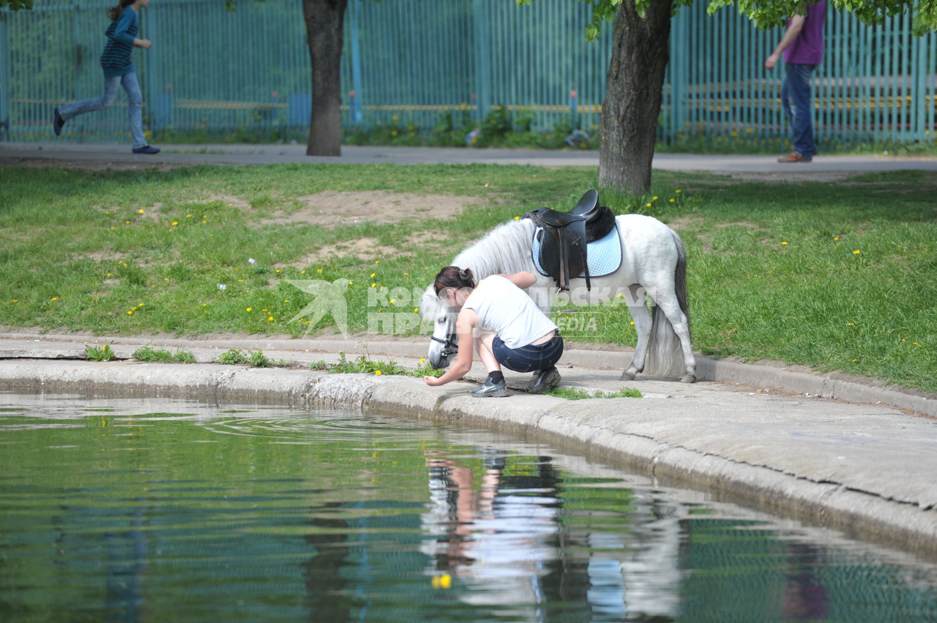 В парке пони пьет из пруда,  21 мая 2011 года, Москва