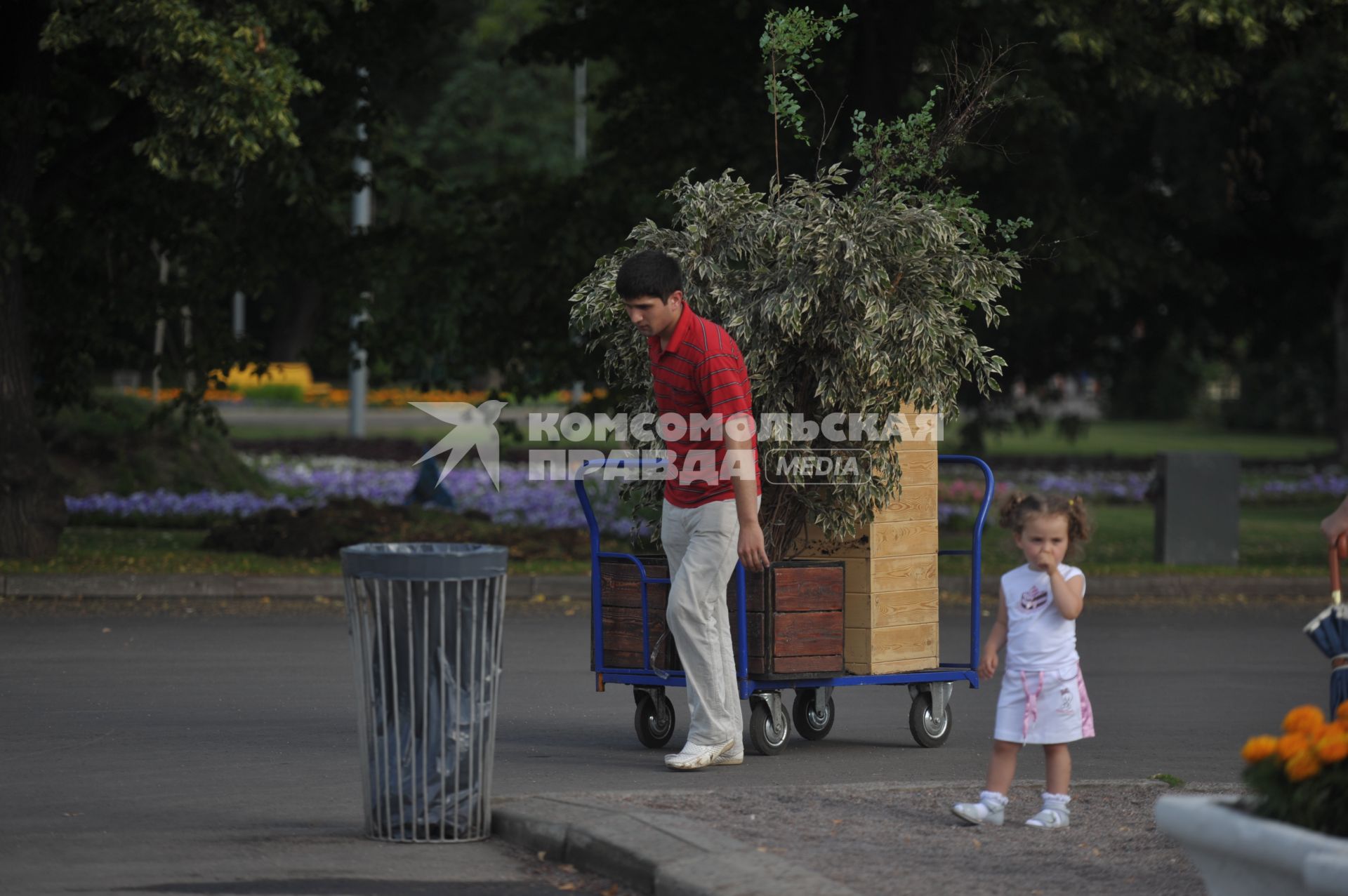 Парк Горького, 3 июля  2011 года, Москва